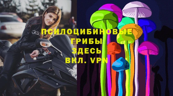 прущий лед Михайлов
